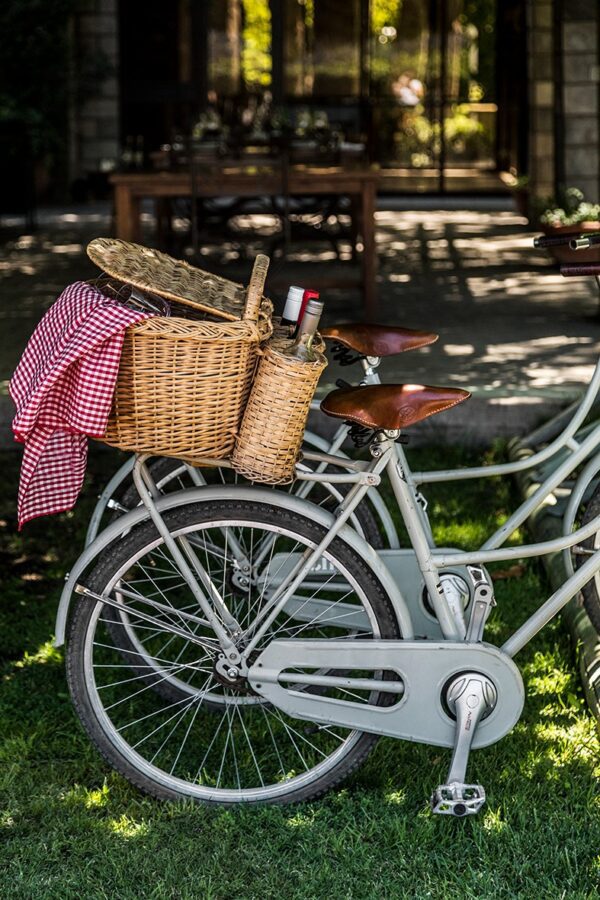 Wine Idols: Zuccardi's Family / Bike & Tasting in Santa Julia + Full Lunch - Image 14