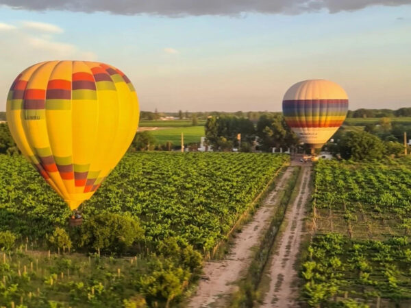 Hot air balloon ride over the Vineyards + Wine Toast - Image 4